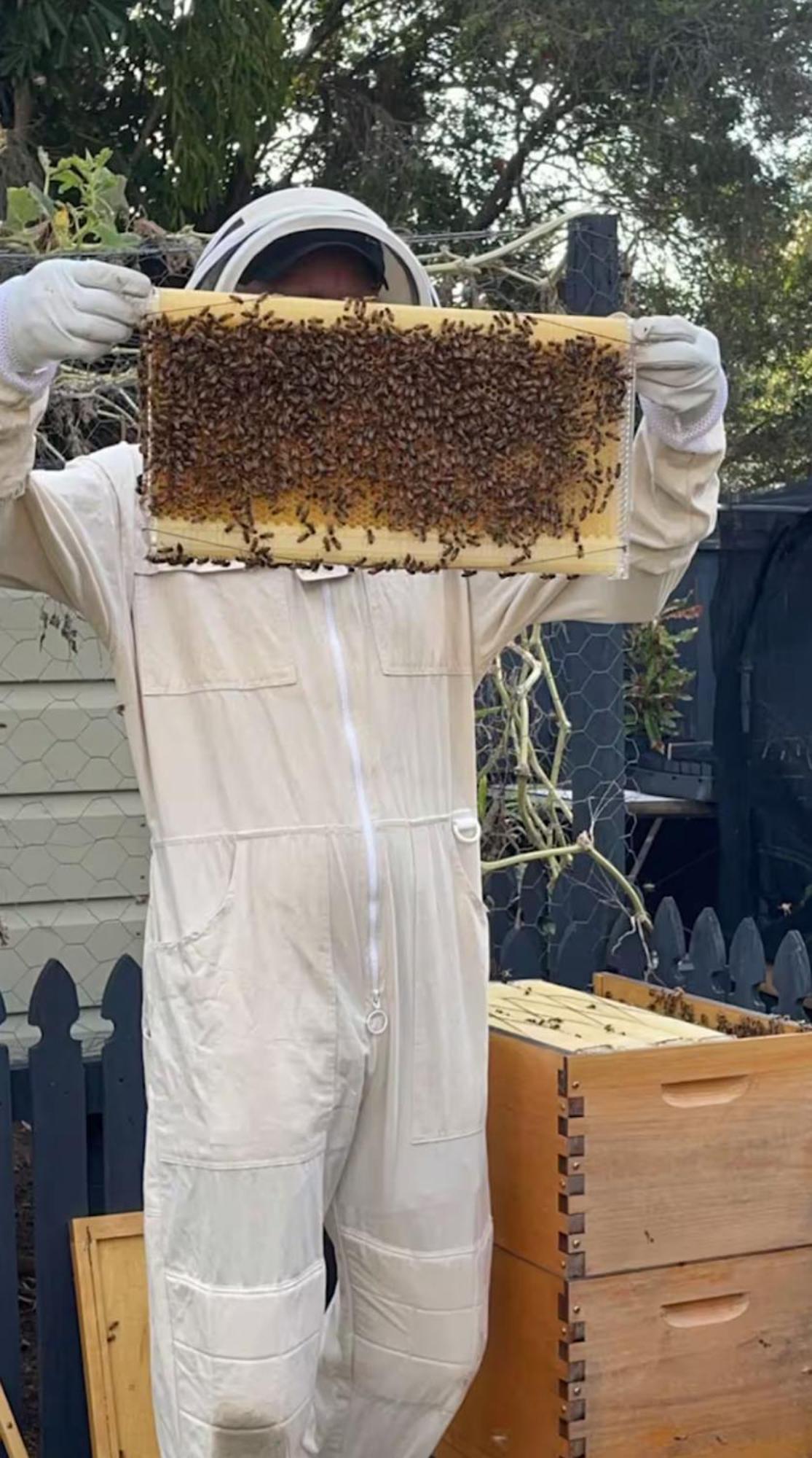 Bee House Hotel Dinmore Eksteriør billede